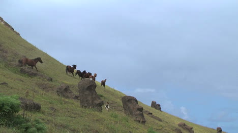 Rapa-Nui-horses-at-Quarry-pb