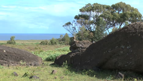 Rapa-Nui-bird-at-Quarry-zoom-out