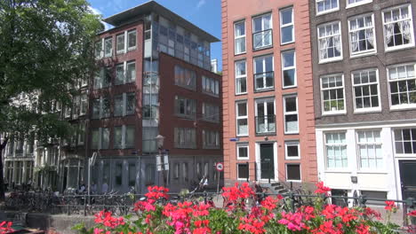 Amsterdam-flowers-&-houses