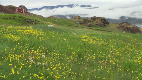 Greenland-Eric's-wife's-church-with-flowers