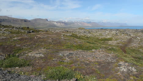 Island-Lavafeld-Auf-Snæfellsjökull-2