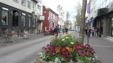 Iceland-Reykjavik-street-&-flowers-2