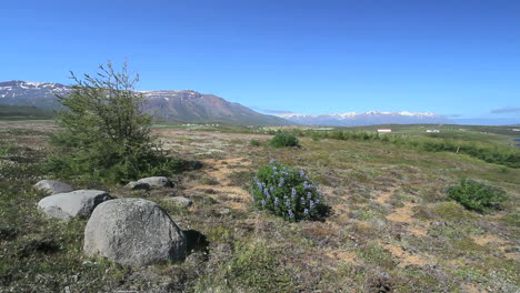 Islandia-Eyjafjordur-En-Ytra-Aland-View