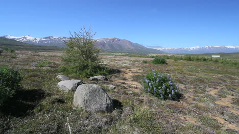 Island-Eyjafjordur-Bei-Ytra-Aland-Mit-Felsen