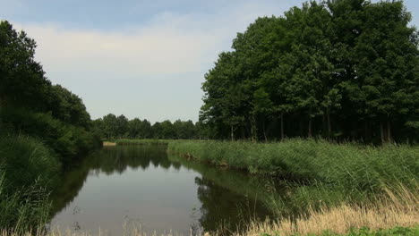 Netherlands-still-water-reflects-sky-and-trees