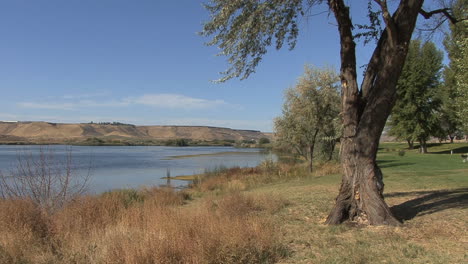 Idaho-Schlange-Fluss-Mann-Geht-Hund