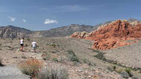 Nevada-view-in-Red-Rock-Canyon