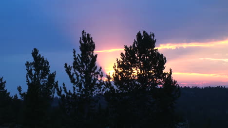 Wyoming-Sonnenuntergang-Hinter-Bäumen-Zeitraffer-Trees