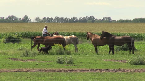 Pampas-Argentinas-Caballo-Y-Jinete-S1