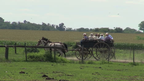 Argentinische-Estancia-Pferde-Und-Wagen