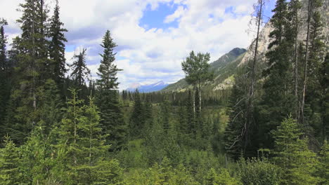 Canada-Alberta-Bow-Valley-view-with-distant-Mount-Castle-s