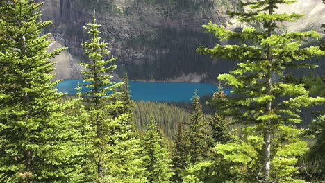 Canadá,-Alberta,-Moraine,-Lago,-De,-Eiffel,-Lago,-Sendero,-árbol,-Enmarcado