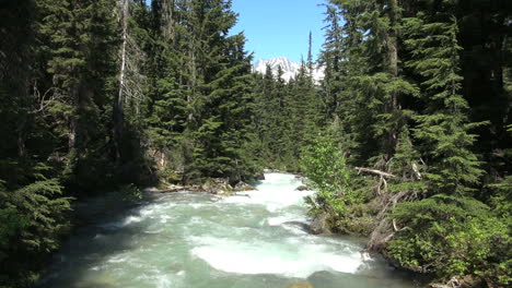 British-Columbia-Glacier-NP-Rogers-Pass-stream-and-trees