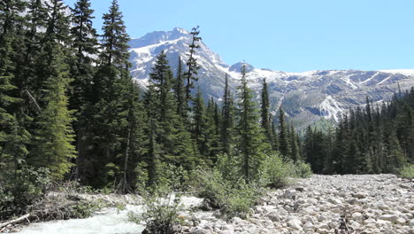 British-Columbia-Glacier-NP-Stream-&-pebble-beach-Columbia-Mountians-c