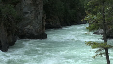 British-Columbia-Mount-Robson-Fraser-River-tree-frame