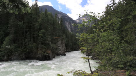 Britisch-Kolumbien-Mount-Robson-Park-Fraser-River-C