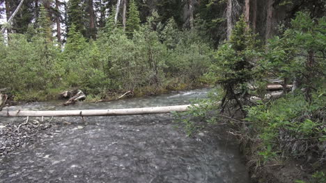 Kanada-Jaspis-Np-Stream-Im-Wald-Fließt-Unter-Log-S