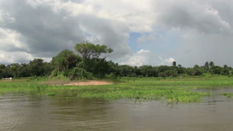 Amazonas-Januar-See-Grasbewachsene-Ränder