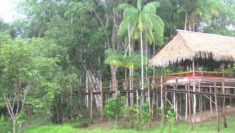 Amazonasregen-In-Der-Dschungellodge