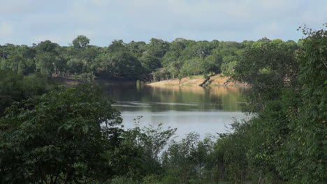 Amazonasblick-Auf-Den-See-Im-Regenwald-Rain