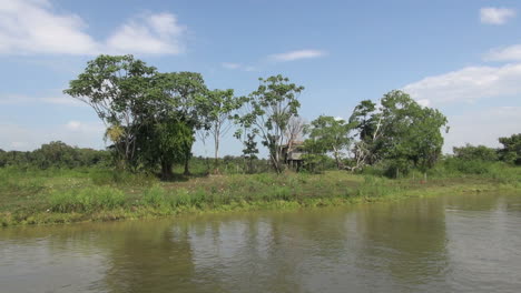 Brazil-Amazon-backwater-near-Santarem-bank-scattered-trees-and-house-on-stilt