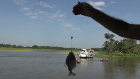 Brasilien-Amazonas-Backwater-In-Der-Nähe-Von-Santarem-Piranha-Wird-Aufgehalten-S