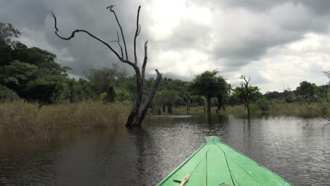 Amazonas-árboles-Muertos-Nube-Oscura-Desde-Barco