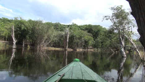 Amazon-dead-trees-and-fish-jump-in-front-of-boat