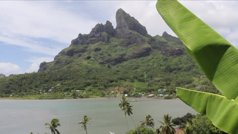 Hoja-De-Plátano-Bora-Bora-Y-Sartén-Volcán