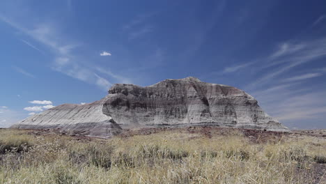 Mesa-Del-Bosque-Petrificado-De-Arizona-Y-Pasto-Seco