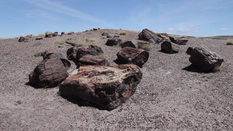 Arizona-Versteinerter-Wald-Kristallwald-Holz