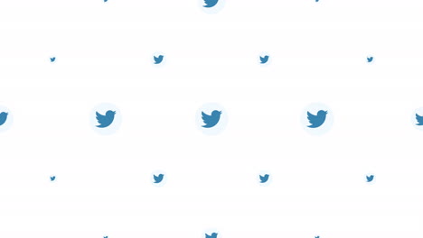 Motion-icons-of-Twitter-social-network-on-simple-background