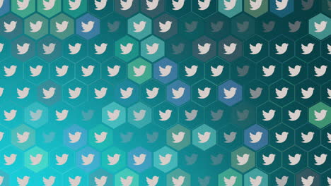 Bewegungssymbole-Des-Sozialen-Netzwerks-Twitter-Auf-Einfachem-Hintergrund-5