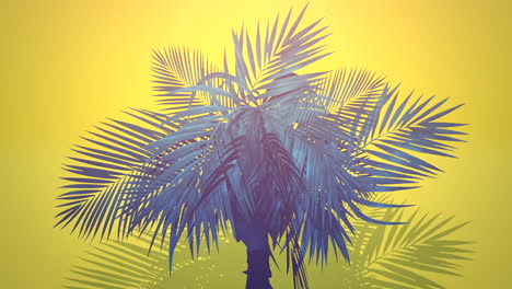 Closeup-tropical-palm-trees-with-summer-background-1