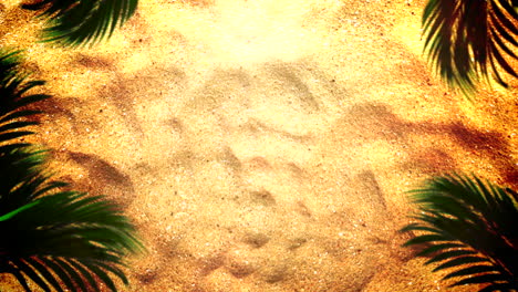 Closeup-sandy-beach-with-sand-and-palm-trees