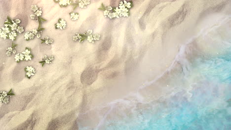 Closeup-sandy-beach-with-blue-waves-of-ocean-and-flowers-1