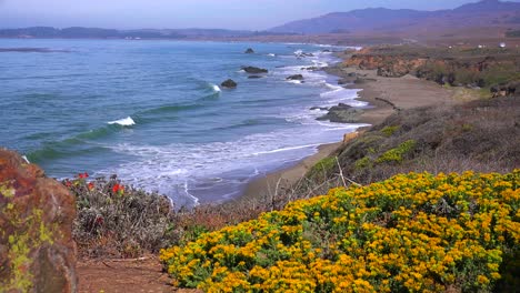 Wunderschöne-Strand--Und-Küstenlandschaft-Entlang-Des-California-Highway-One