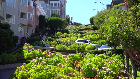 Cars-drive-down-Lombard-Street-in-San-Francisco-America's-windiest-street-1