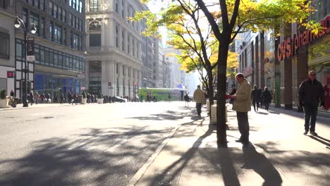 A-nice-shot-along-5th-avenue-in-New-York-City-with-pedestrians-and-traffic