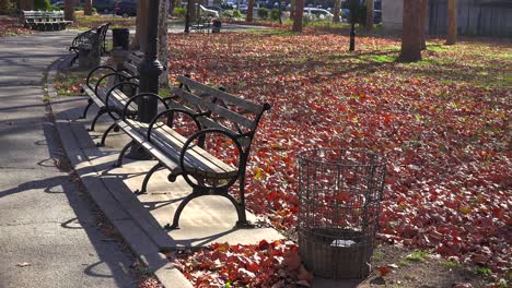 Herbstlaub-Bedeckt-Einen-Einsamen-Park-In-New-York-City-Mit-Parkbänken-Rundherum