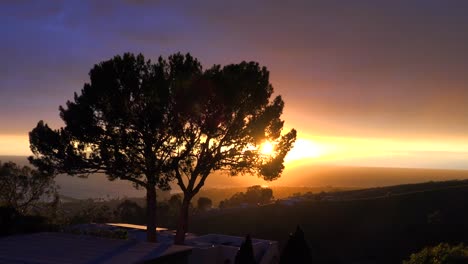 Ein-Wunderschöner-Sonnenaufgang-Oder-Sonnenuntergang-Entlang-Der-Kalifornischen-Küste-Mit-Einem-Silhouettenbaum-Im-Vordergrund-1