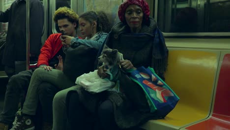 Eine-Frau-Mit-Einem-Kleinen-Hund-Auf-Dem-Schoß-Fährt-Mit-Der-New-York-City-Subway