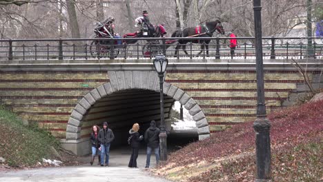 Horse-drawn-carriage-moves-across-a-bridge-in-New-York's-Central-park