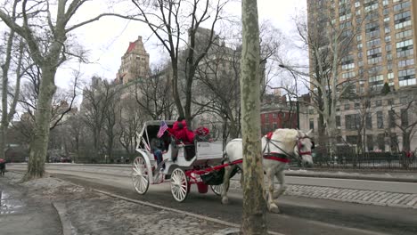 Carruajes-Tirados-Por-Caballos-Se-Mueven-A-Través-Del-Parque-Central-De-La-Ciudad-De-Nueva-York-2