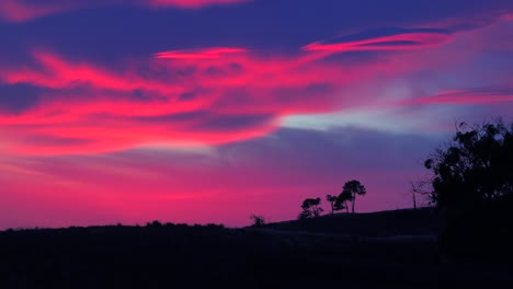 Ein-Wunderschöner-Jenseitiger-Sonnenaufgang-Oder-Sonnenuntergang-Entlang-Der-Kalifornischen-Küste-Mit-Einem-Silhouettenbaum-Im-Vordergrund-1
