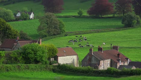 Casas-Muy-Pintorescas-Conforman-Una-Aldea-Rural-En-Inglaterra,-Irlanda,-Gales-O-Escocia