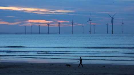 Windmühlen-Erzeugen-Strom-Entlang-Einer-Küste-Bei-Sonnenuntergang,-Wenn-Eine-Person-Mit-Ihrem-Hund-Im-Vordergrund-Spazieren-Geht