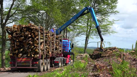 Eine-Klaue-Lädt-In-Einem-Abgeholzten-Gebiet-Holz-Auf-Einen-Sattelschlepper