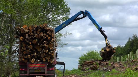 Eine-Klaue-Lädt-In-Einem-Abgeholzten-Gebiet-Holz-Auf-Einen-Sattelzug