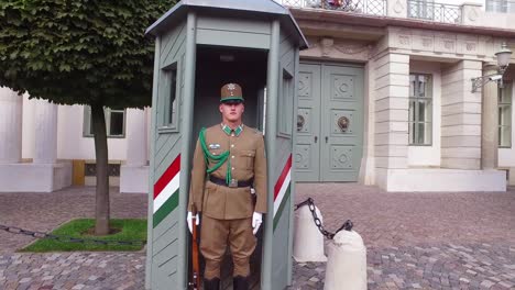 Hungarian-palace-guards-stand-at-attention-in-Budapest-Hungary